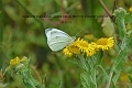 01 08 13_6307_edited-3